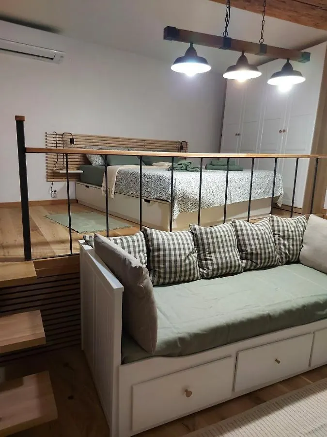 Διαμέρισμα Studio Al Mulino Ρόβινι Κροατία